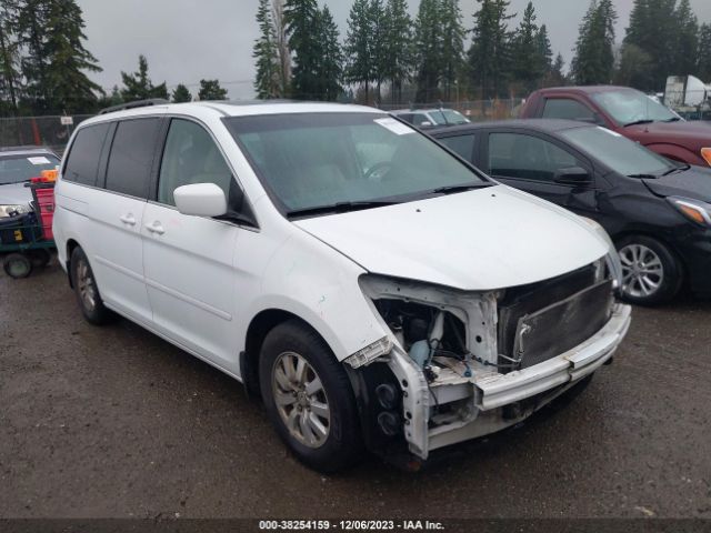 HONDA ODYSSEY 2010 5fnrl3h78ab034336