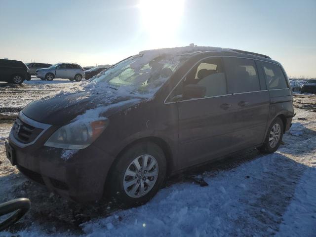 HONDA ODYSSEY EX 2010 5fnrl3h78ab058474