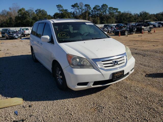 HONDA ODYSSEY EX 2010 5fnrl3h78ab069541