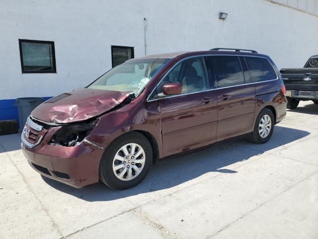 HONDA ODYSSEY EX 2010 5fnrl3h79ab058581