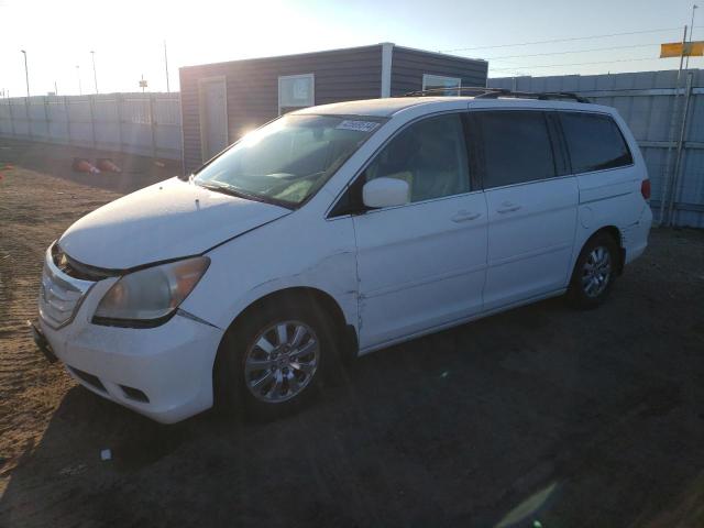 HONDA ODYSSEY EX 2010 5fnrl3h79ab079706