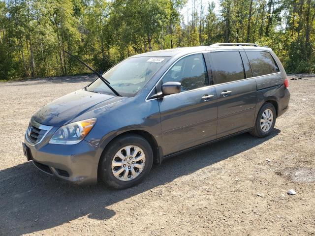 HONDA ODYSSEY EX 2010 5fnrl3h79ab507919