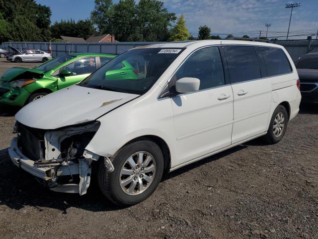 HONDA ODYSSEY EX 2010 5fnrl3h7xab074370