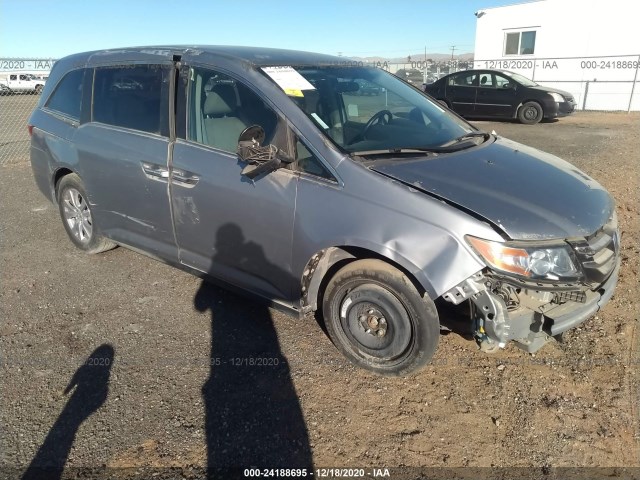 HONDA ODYSSEY 2016 5fnrl5h33gb159228