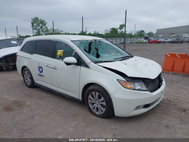 HONDA ODYSSEY 2017 5fnrl5h35hb001295