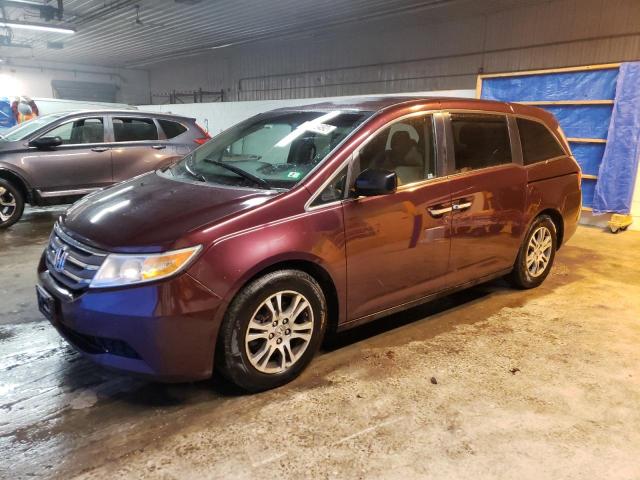 HONDA ODYSSEY 2013 5fnrl5h41db061576