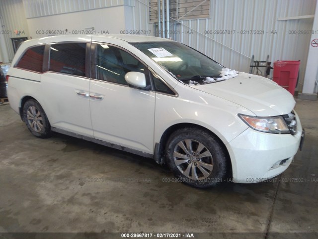 HONDA ODYSSEY 2015 5fnrl5h42fb040108