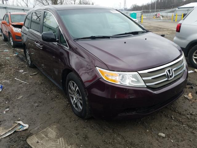 HONDA ODYSSEY EX 2011 5fnrl5h45bb021305