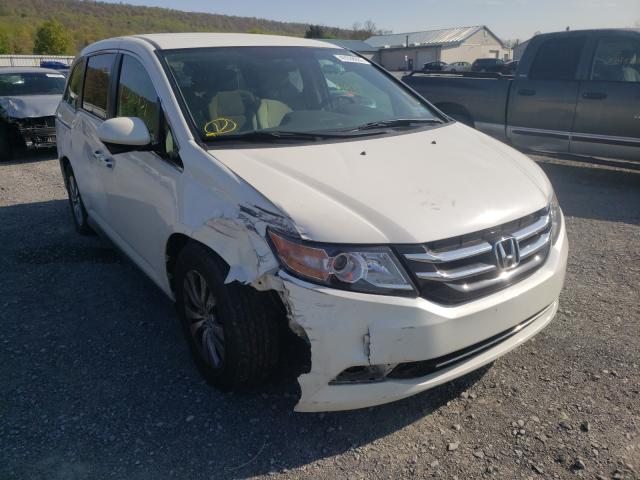 HONDA ODYSSEY EX 2014 5fnrl5h45eb106018