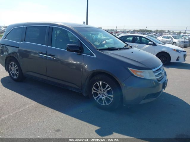 HONDA ODYSSEY 2013 5fnrl5h46db002104