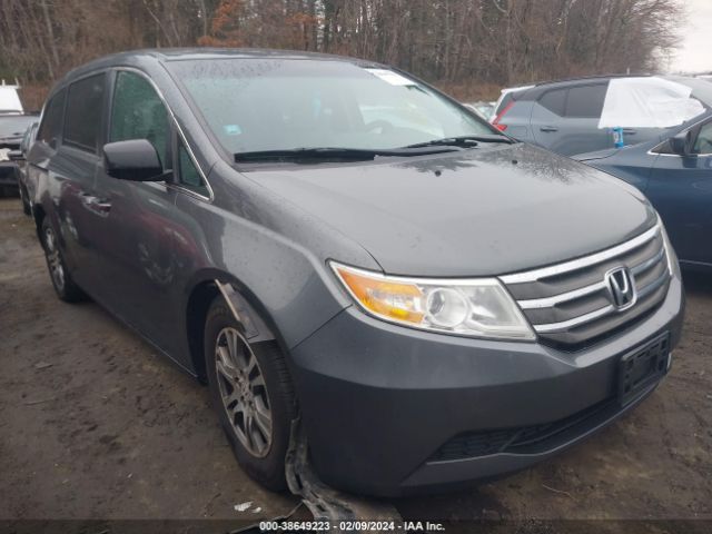 HONDA ODYSSEY 2013 5fnrl5h46db024233