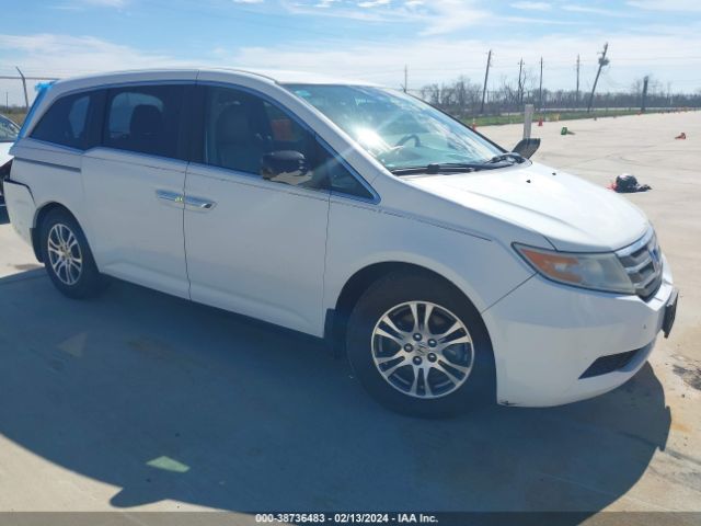 HONDA ODYSSEY 2013 5fnrl5h46db051917