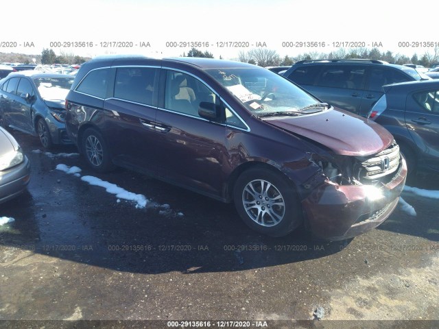 HONDA ODYSSEY 2013 5fnrl5h46db063033