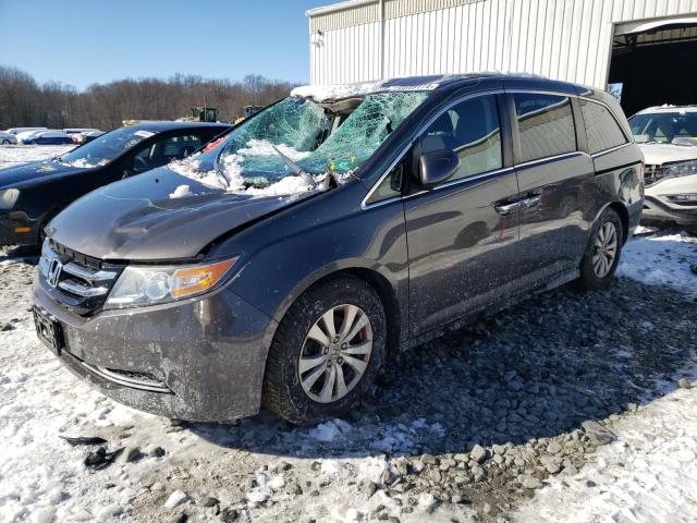 HONDA ODYSSEY EX 2014 5fnrl5h48eb023070