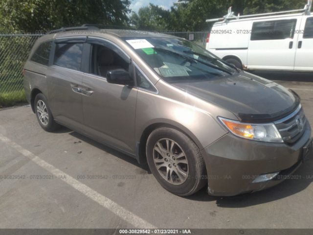 HONDA ODYSSEY 2013 5fnrl5h49db038689