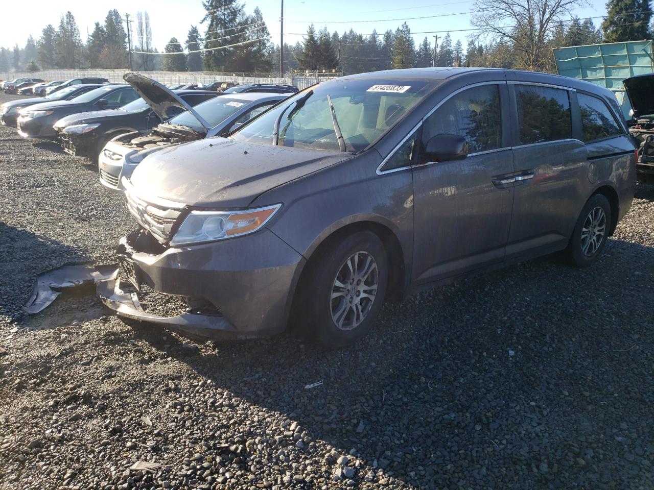 HONDA ODYSSEY 2013 5fnrl5h61db006398