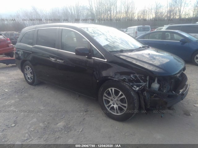 HONDA ODYSSEY 2013 5fnrl5h61db032239