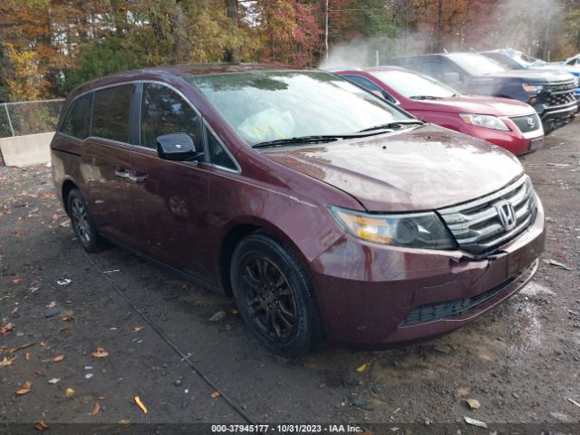 HONDA ODYSSEY 2013 5fnrl5h61db079335