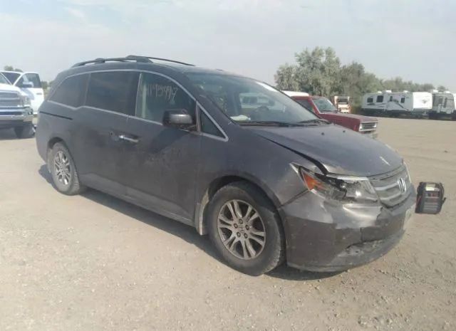 HONDA ODYSSEY 2013 5fnrl5h61db081912