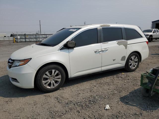 HONDA ODYSSEY EX 2014 5fnrl5h61eb085654