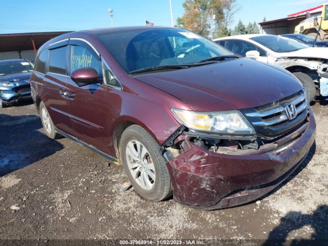 HONDA ODYSSEY 2014 5fnrl5h61eb100394