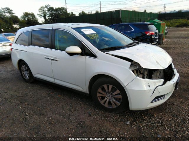 HONDA ODYSSEY 2014 5fnrl5h61eb122489