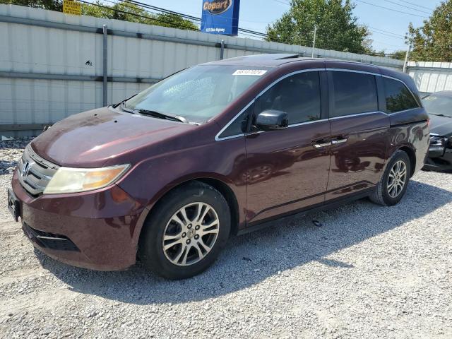 HONDA ODYSSEY EX 2012 5fnrl5h62cb132929