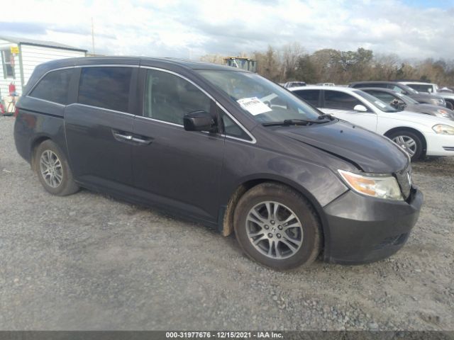 HONDA ODYSSEY 2013 5fnrl5h62db009763