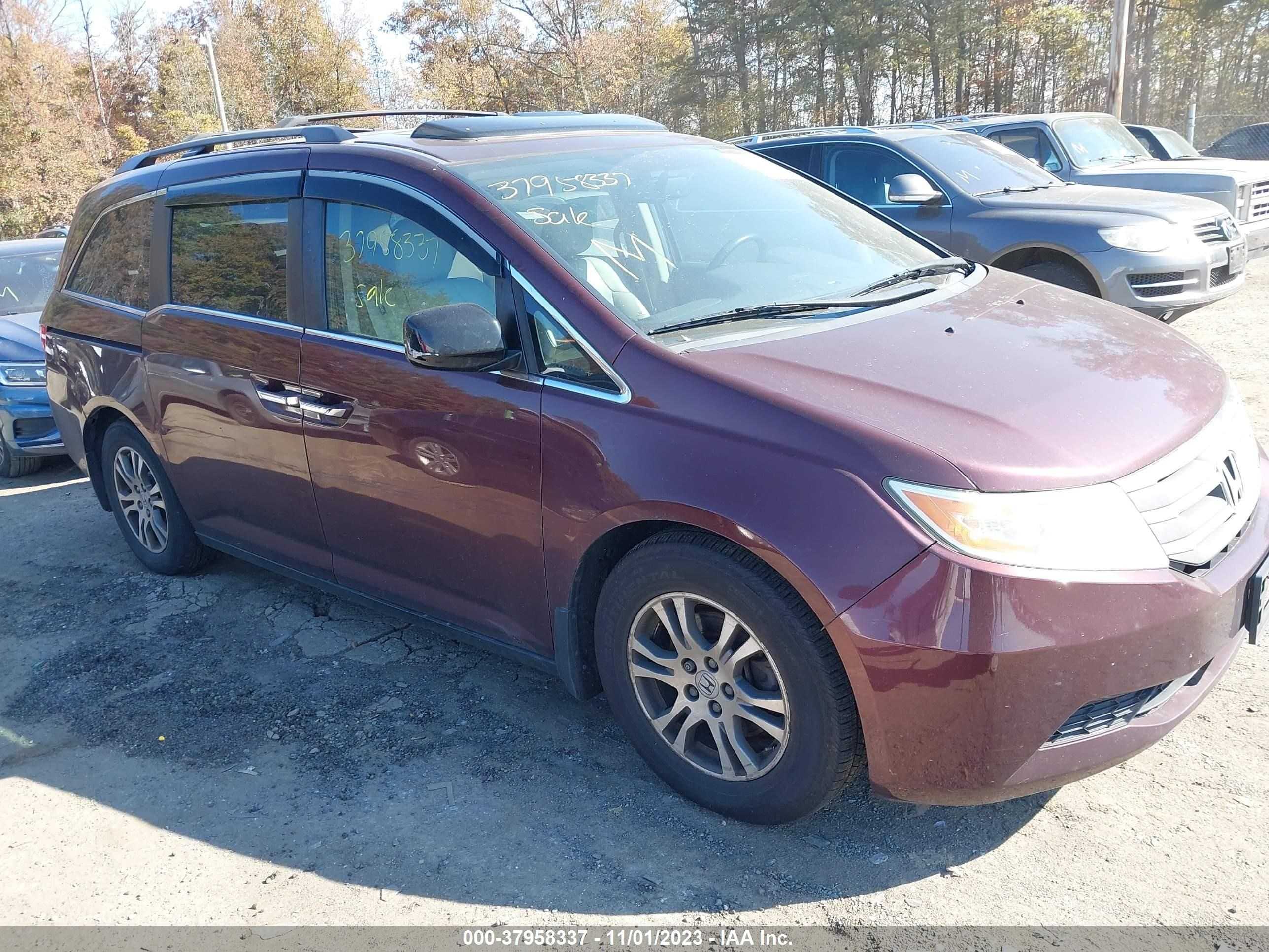 HONDA ODYSSEY 2013 5fnrl5h62db017393