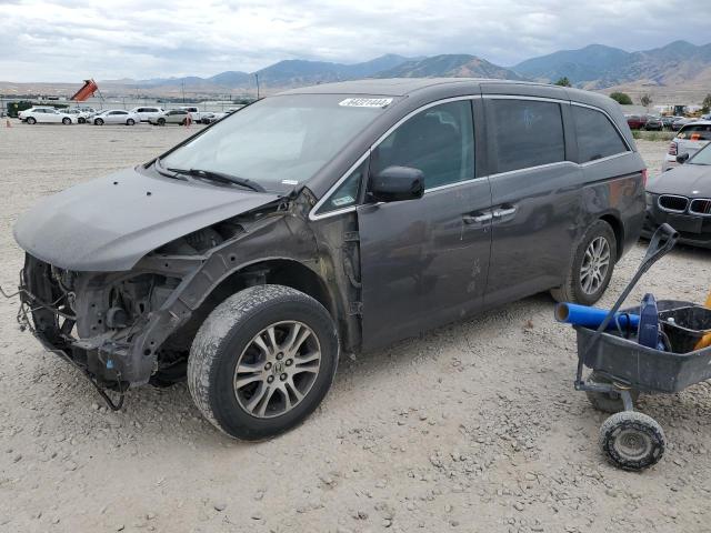 HONDA ODYSSEY EX 2013 5fnrl5h62db034906