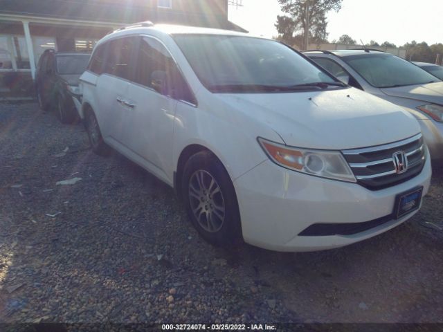 HONDA ODYSSEY 2013 5fnrl5h62db035179