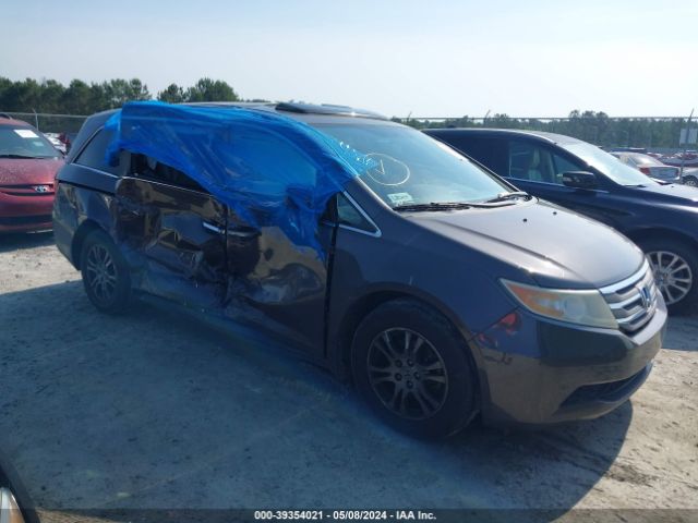 HONDA ODYSSEY 2013 5fnrl5h62db036364