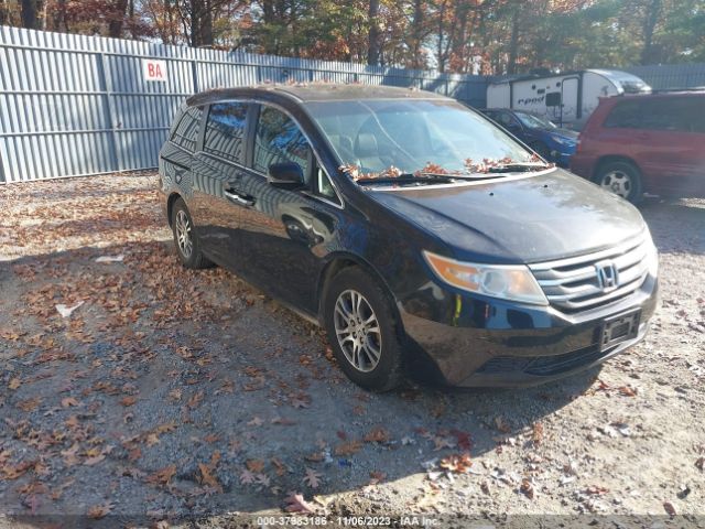 HONDA ODYSSEY 2013 5fnrl5h62db047803