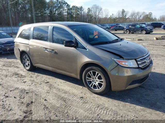 HONDA ODYSSEY 2013 5fnrl5h62db059756