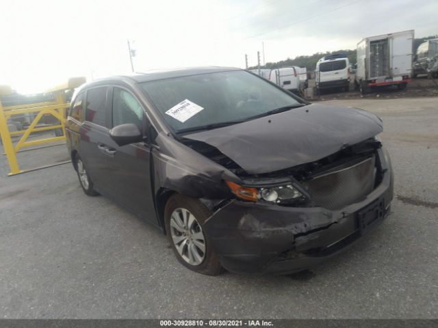 HONDA ODYSSEY 2015 5fnrl5h62fb096163