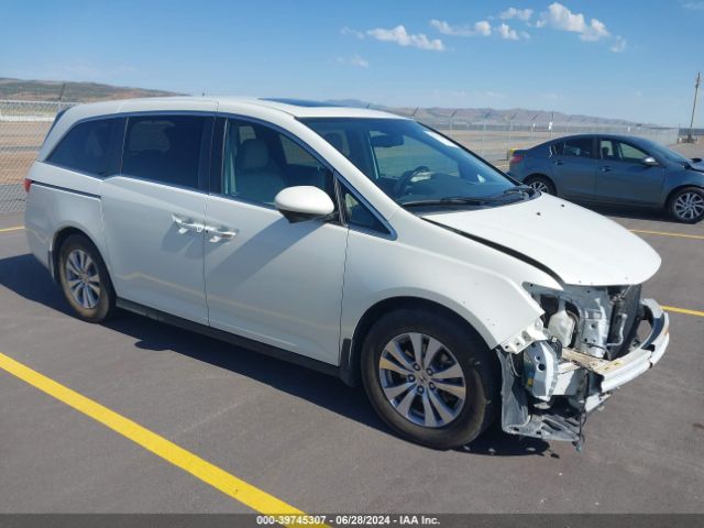 HONDA ODYSSEY 2017 5fnrl5h62hb017738