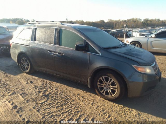 HONDA ODYSSEY 2011 5fnrl5h63bb009591