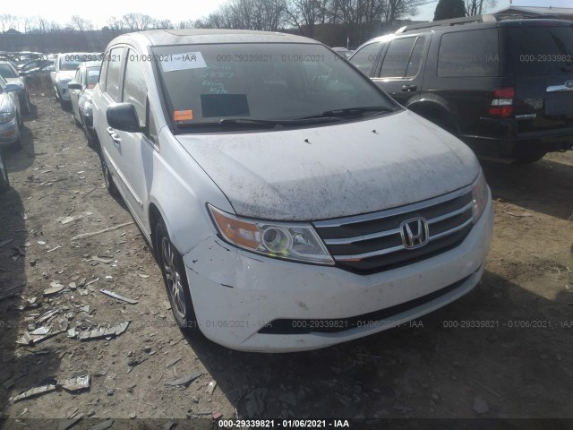 HONDA ODYSSEY 2011 5fnrl5h63bb062081