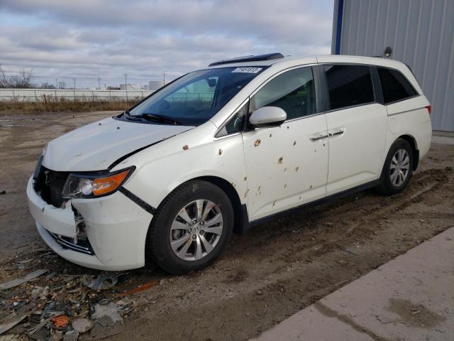 HONDA ODYSSEY EX 2016 5fnrl5h63gb048396