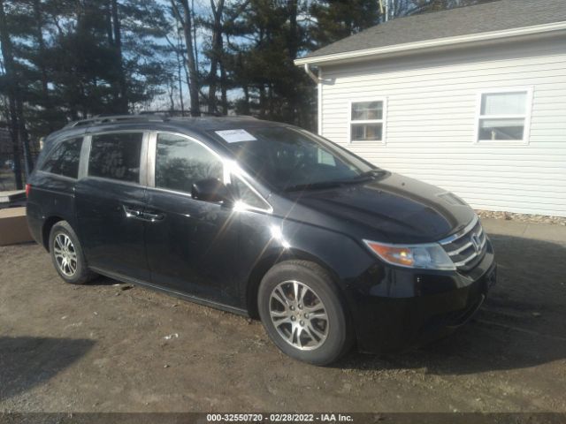 HONDA ODYSSEY 2013 5fnrl5h64db022076