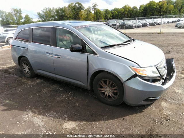 HONDA ODYSSEY 2013 5fnrl5h64db030842