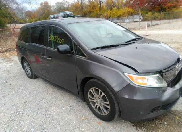 HONDA ODYSSEY 2013 5fnrl5h64db039301