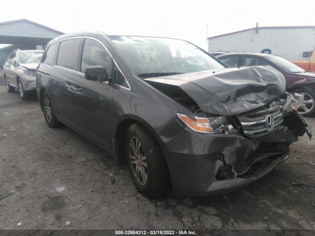 HONDA ODYSSEY 2013 5fnrl5h64db053716