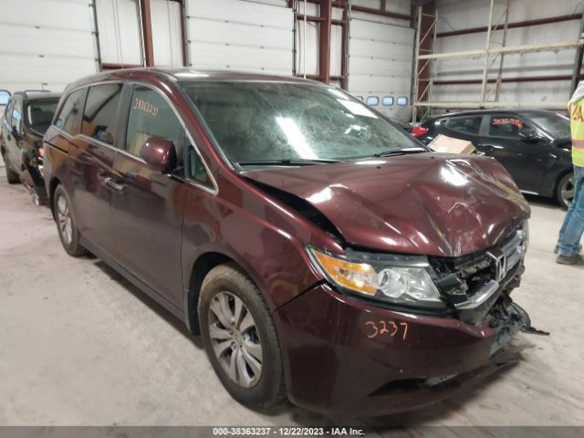 HONDA ODYSSEY 2015 5fnrl5h64fb024011