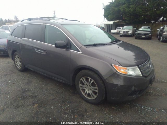 HONDA ODYSSEY 2013 5fnrl5h65db033166