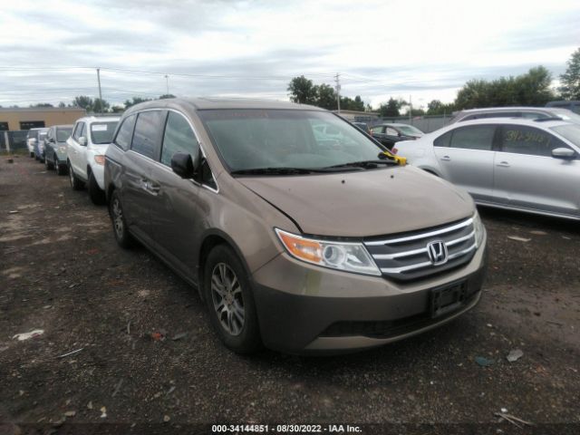 HONDA ODYSSEY 2013 5fnrl5h65db045575