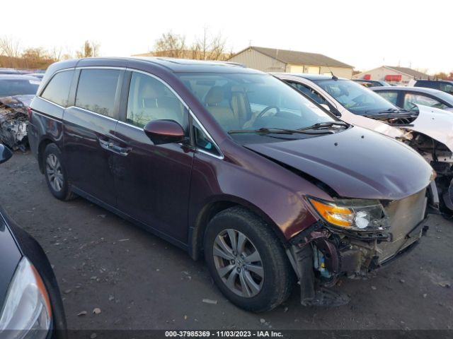 HONDA ODYSSEY 2014 5fnrl5h65eb019849