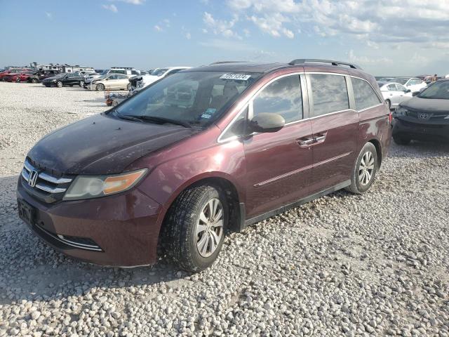 HONDA ODYSSEY EX 2014 5fnrl5h65eb034075