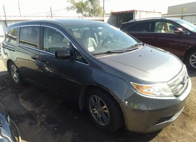 HONDA ODYSSEY 2013 5fnrl5h66db001133