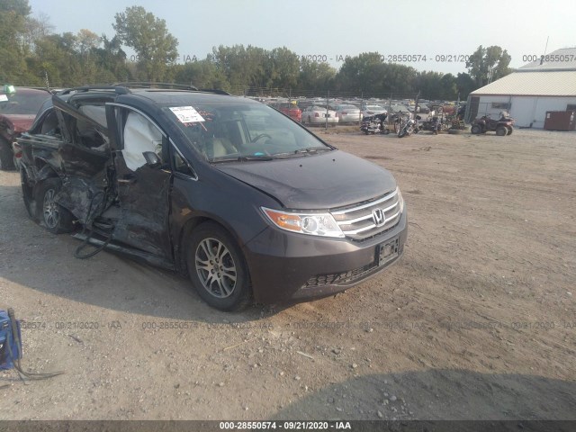 HONDA ODYSSEY 2013 5fnrl5h66db007871